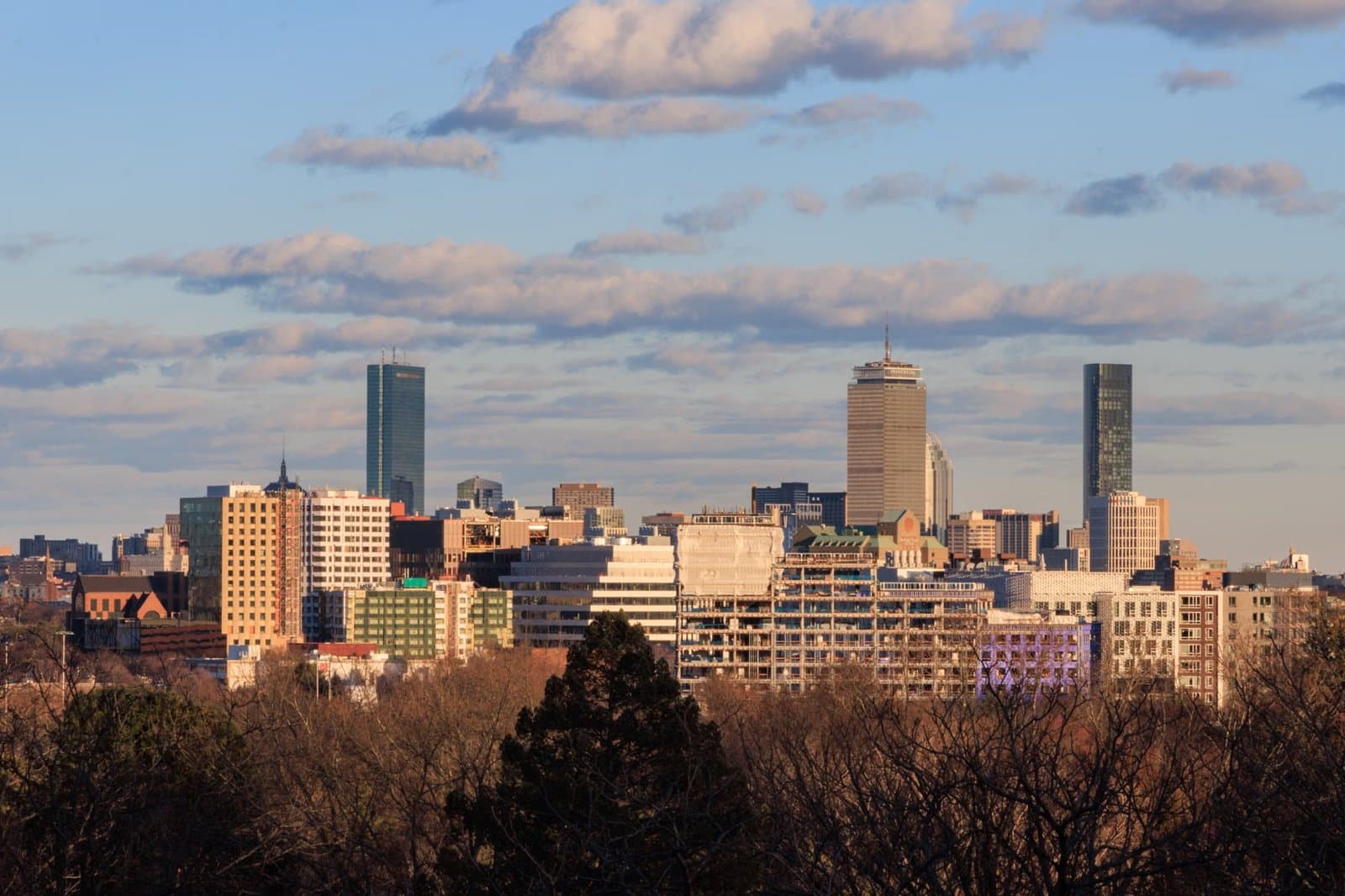 Why Cambridge Families Choose Alewife Near Russell Field