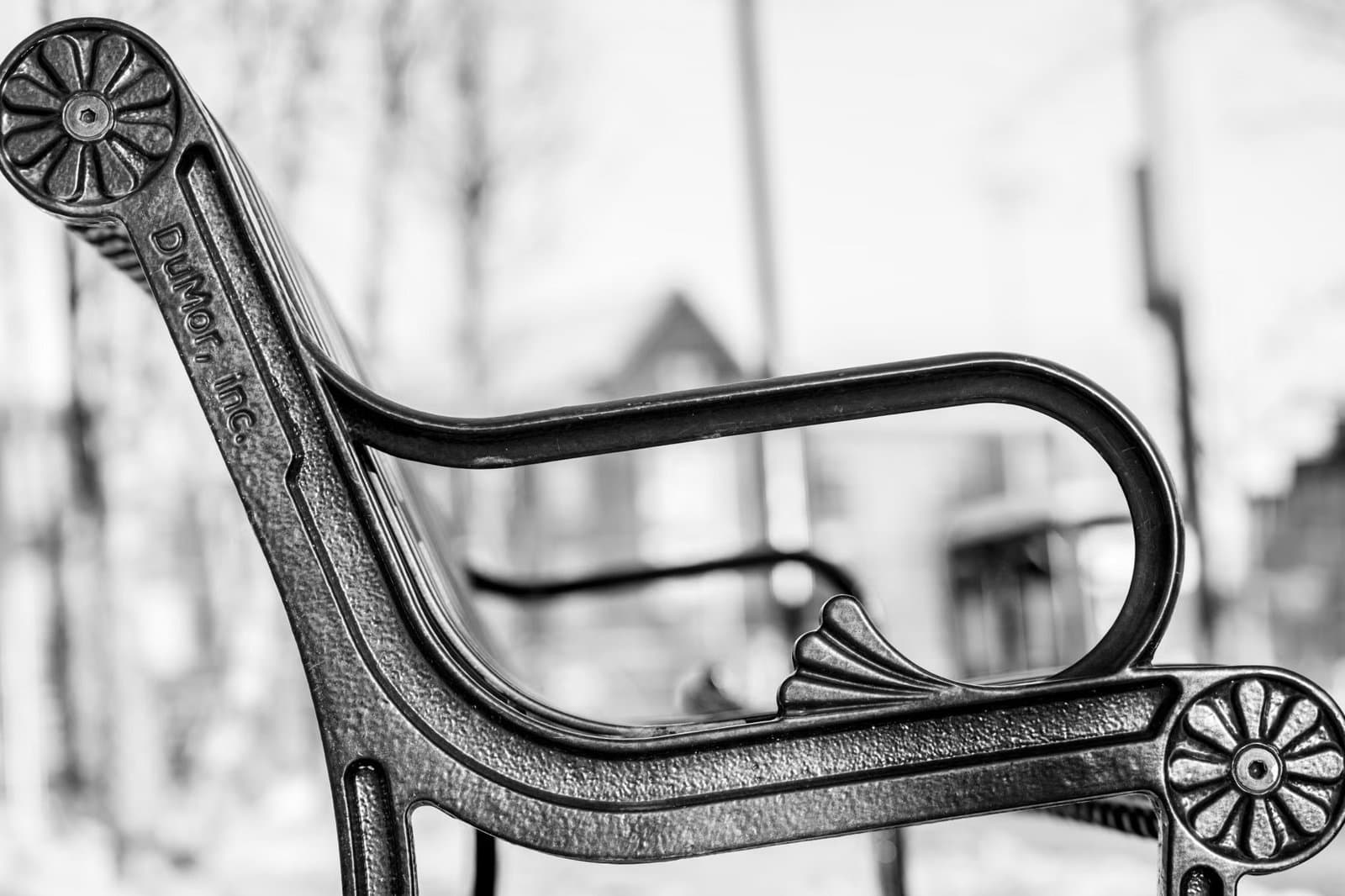 Somerville Condo Yard Rights: Shared Lawn or Yours?
